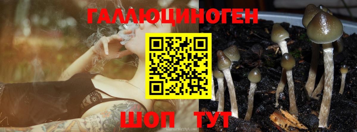 Псилоцибиновые грибы Magic Shrooms Альметьевск
